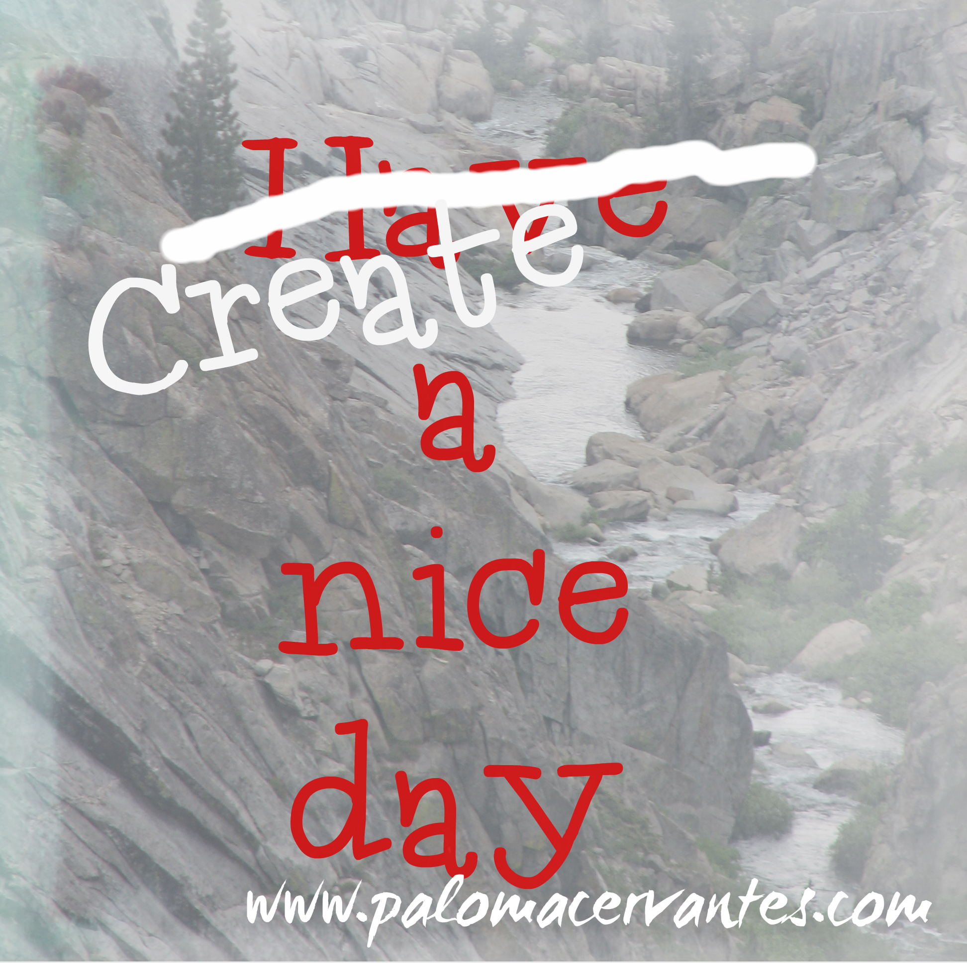 Create a nice day Paloma Cervantes